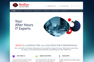 RedEye IT Services